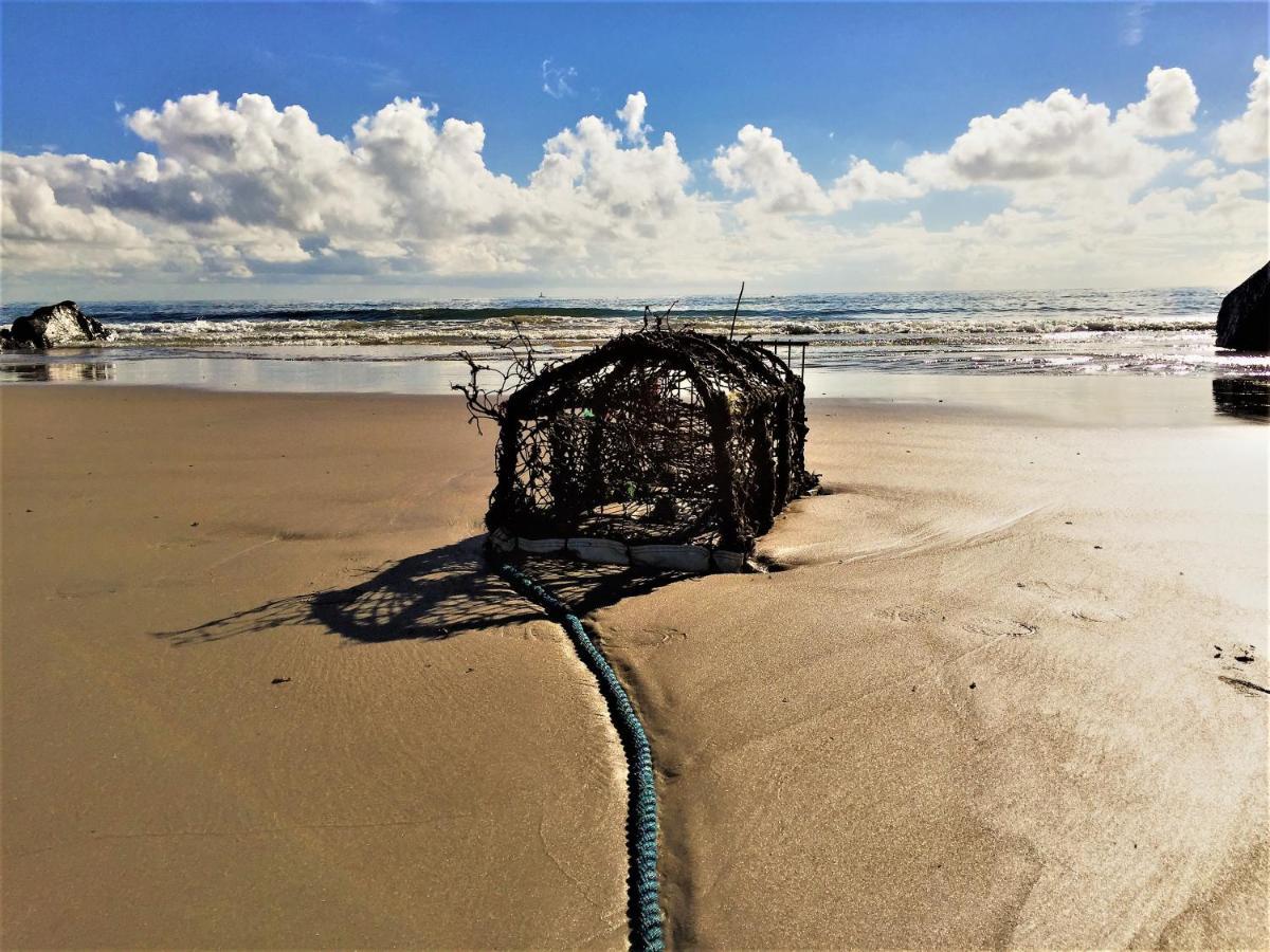 St Awaries Studio, Carne Rosslare Harbour Luaran gambar