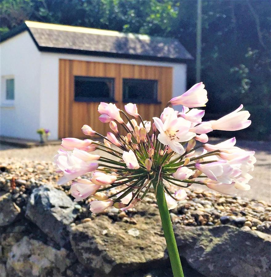 St Awaries Studio, Carne Rosslare Harbour Luaran gambar