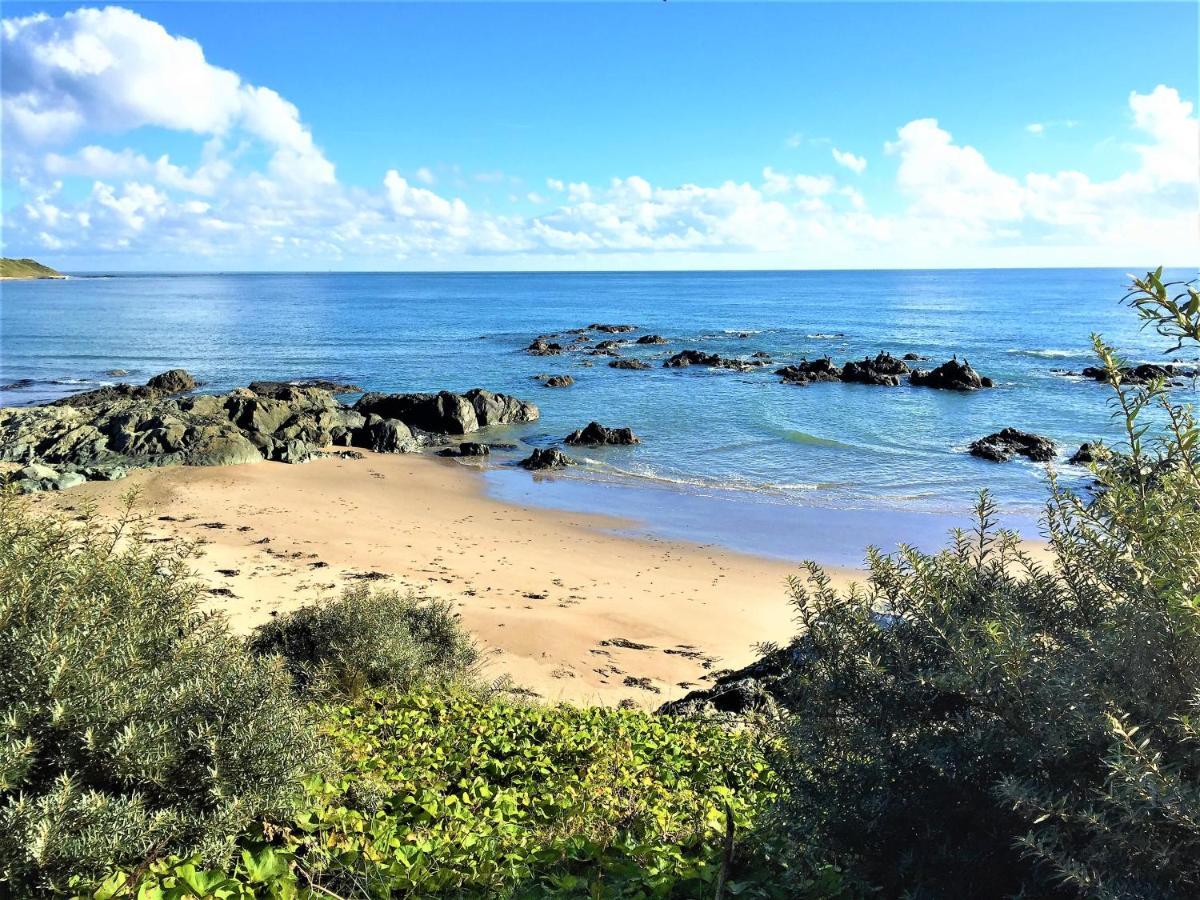 St Awaries Studio, Carne Rosslare Harbour Luaran gambar